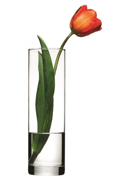 PB Botanica Glass Cylinder Flower Vase 265mm 43767 A (Parcel Plus Rate)