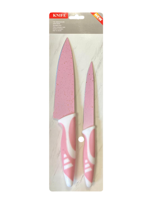 Kitchen Knife with Plastic Handle Set of 2 Assorted Colours 7902 (Parcel Rate)