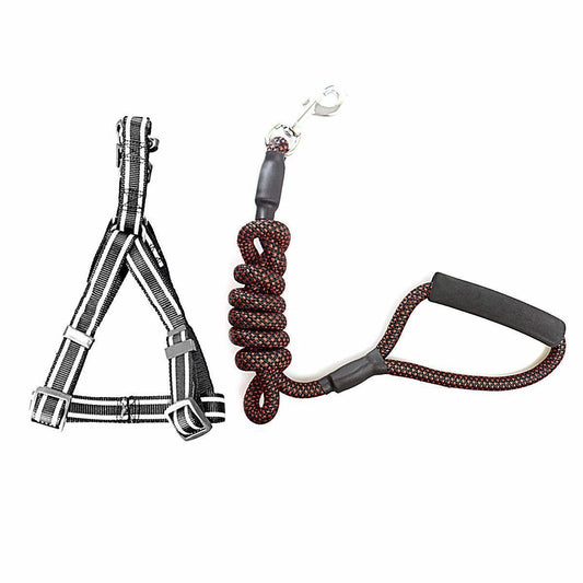 Reflective Nylon Dog Leash lead with Harness Assorted Colours 4266 (Large Letter Rate)