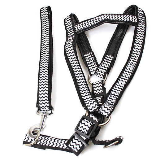 Dog Leash Lead with Harness Printed Design Assorted Designs 1827 (Large Letter Rate)