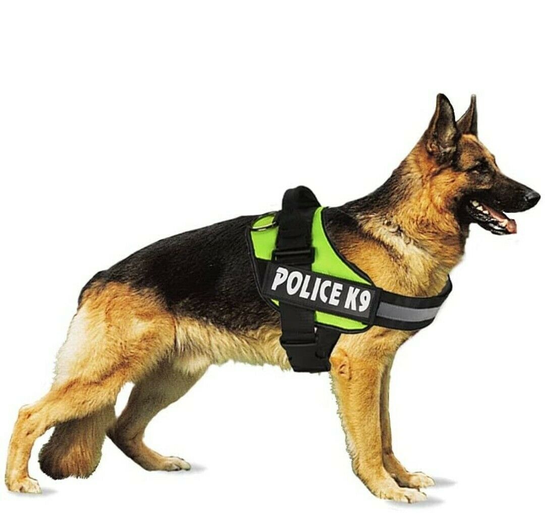 Police K9 Dog Harness Multi Colours Dog Harness XL Assorted Colours K9XL Parcel Rate