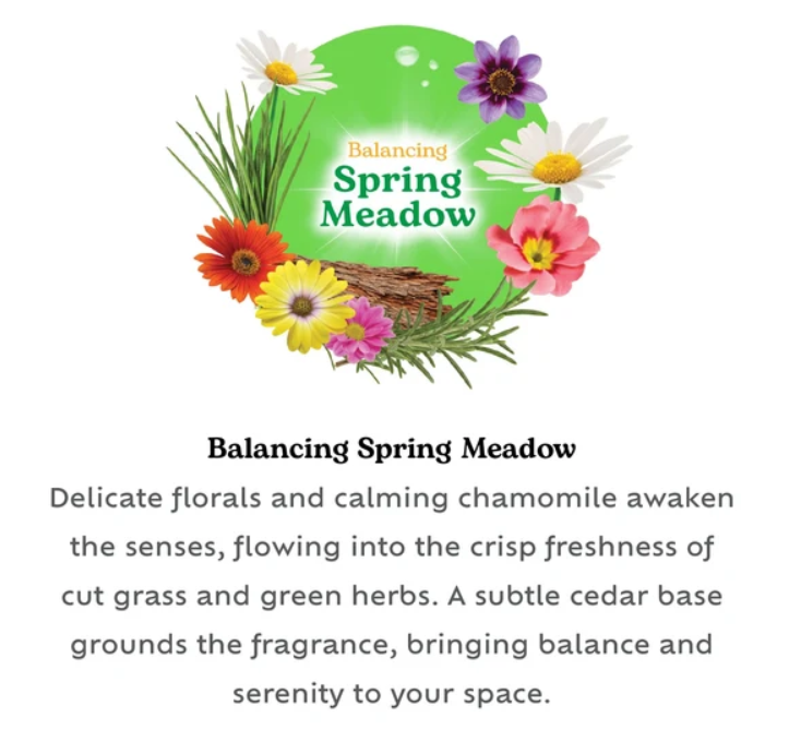 Bloome Glass Jar Candle 95g Spring Meadow SKU 324986
