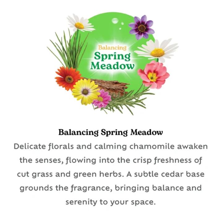 Reed Diffuser 30ml Spring Meadow (IC) SKU 324978
