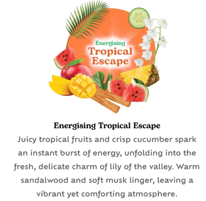 Bloome Glass Jar Candle 95g Tropical Escape SKU 324987