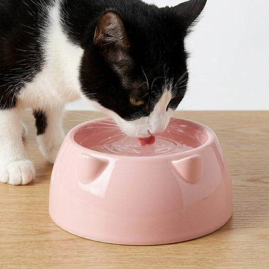 Cat Bowl Variety Colour 15x15x8cm 55g SKU8120