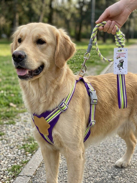 Dog Leash 87cm Length, 20mm Width, 4mm Thickness, 193g – SKU8122