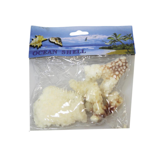 Natural White Stone Seashells Beach Shells Aquarium Decor 4 - 7cm Pack of 3 4528 (Parcel Rate)