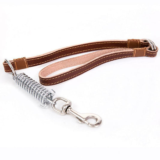 Pet Dog Leash Lead with Spring Buckle Clip 51cm Assorted Colours 4620 (Large Letter Rate)
